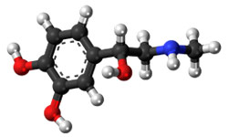 Getreide wird für die Produktion von Adrenalin und Cortisol gebraucht. Hormone können Aggressionen auslösen Hormone können Aggressionen auslösen