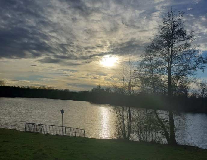 Hundewiese Detmeroder Teich