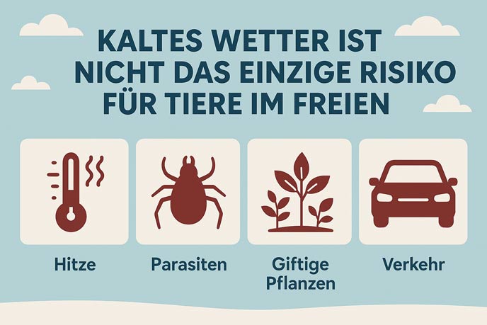 Kaltes Wetter ist nicht das einzige Risiko für Tiere im Freien