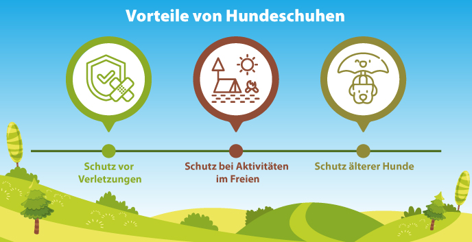 Vorteile von Hundeschuhen