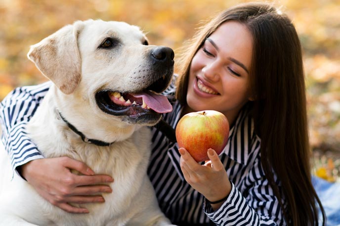 Welche Teile eines Apfels dürfen Hunde fressen